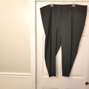 Investments black polka dot dress pant 24W